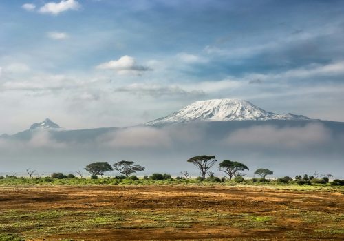 Sergey Pesterev Kilimanjaro Kenya bird-watching